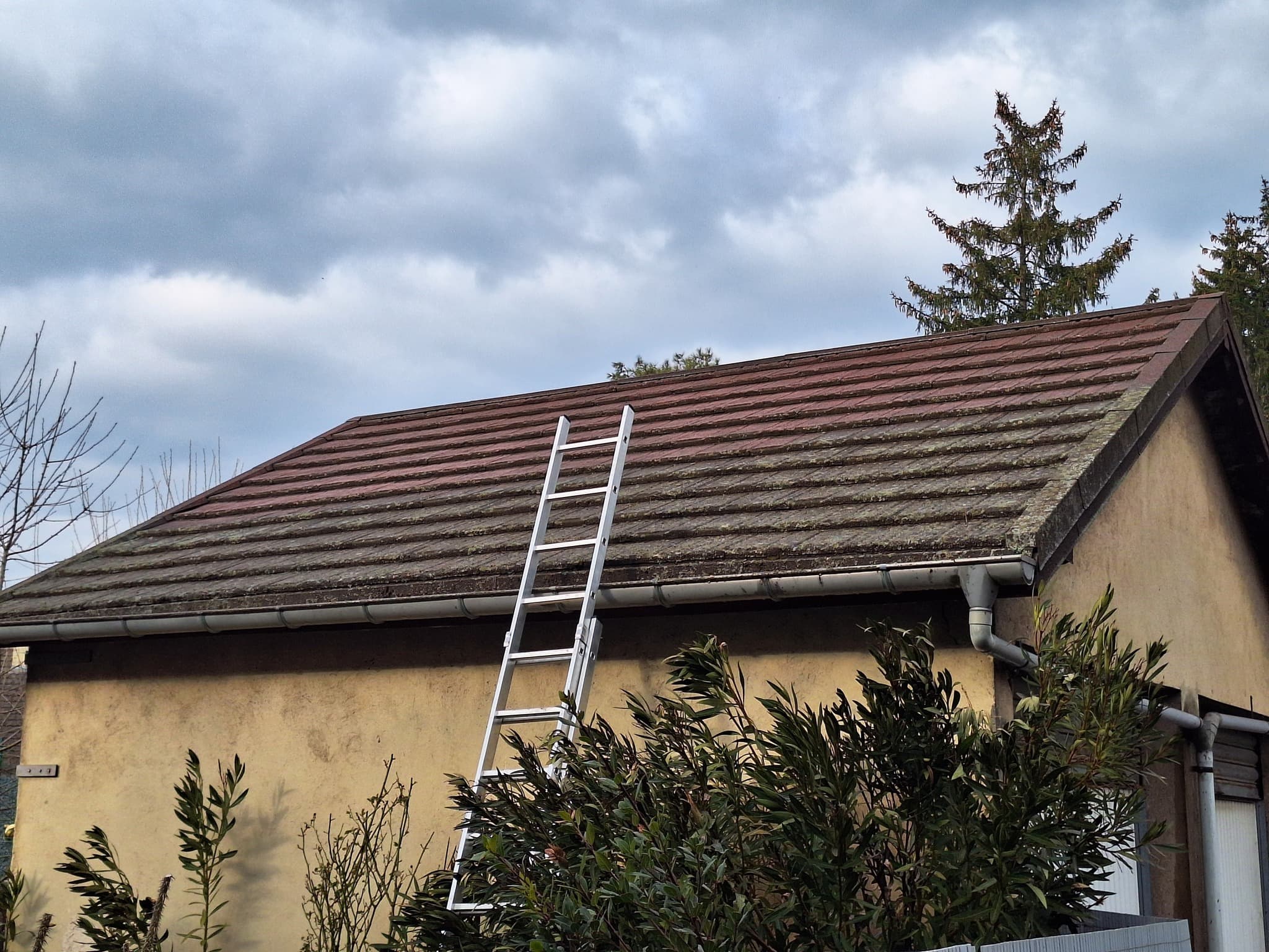 Nettoyage professionnel